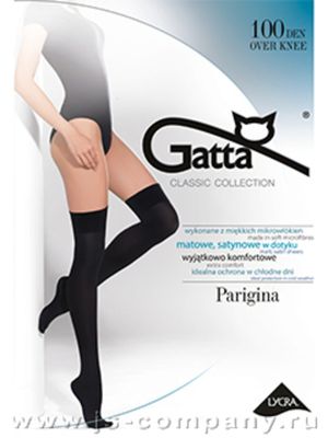 Ботфорты Parigina 100 Gatta