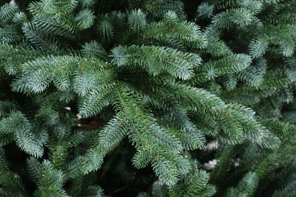 Ель искусственная «Айрин» (Литая хвоя) 180 см / 1,8 м