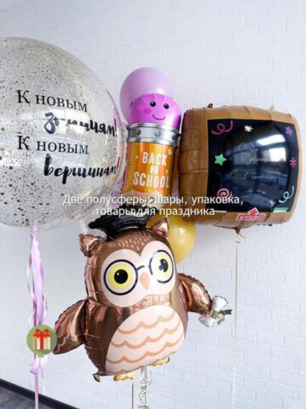 Набор шаров Учеба