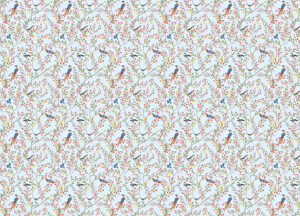 Gloockler Pompoos Provence