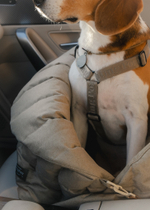 Автокресло-Пони бежевое