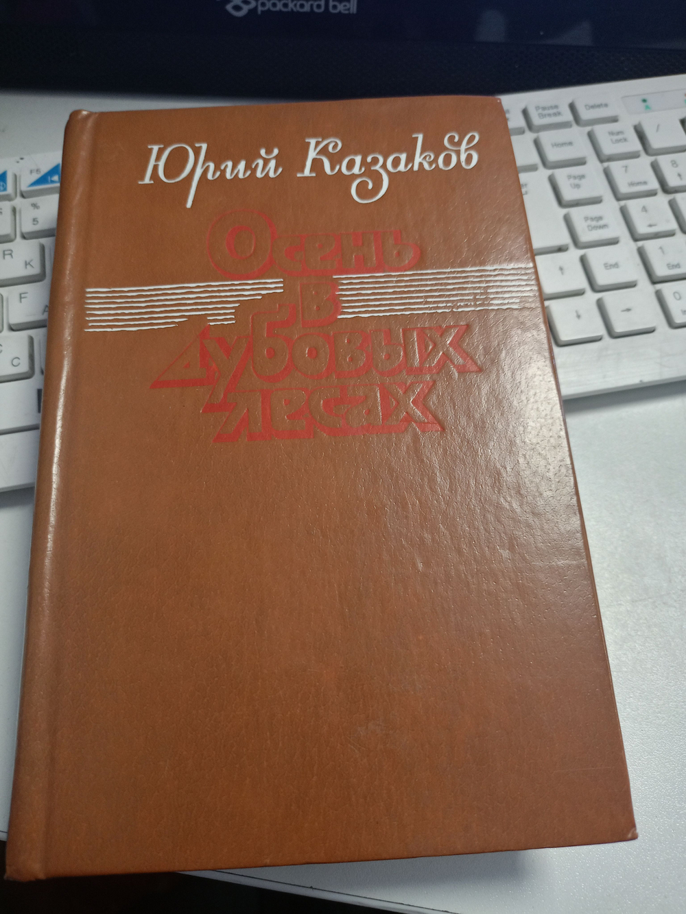 Осень в дубовых лесах.