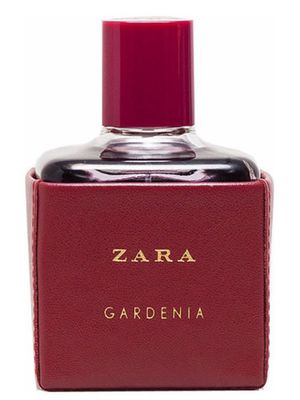 Zara Gardenia 2016