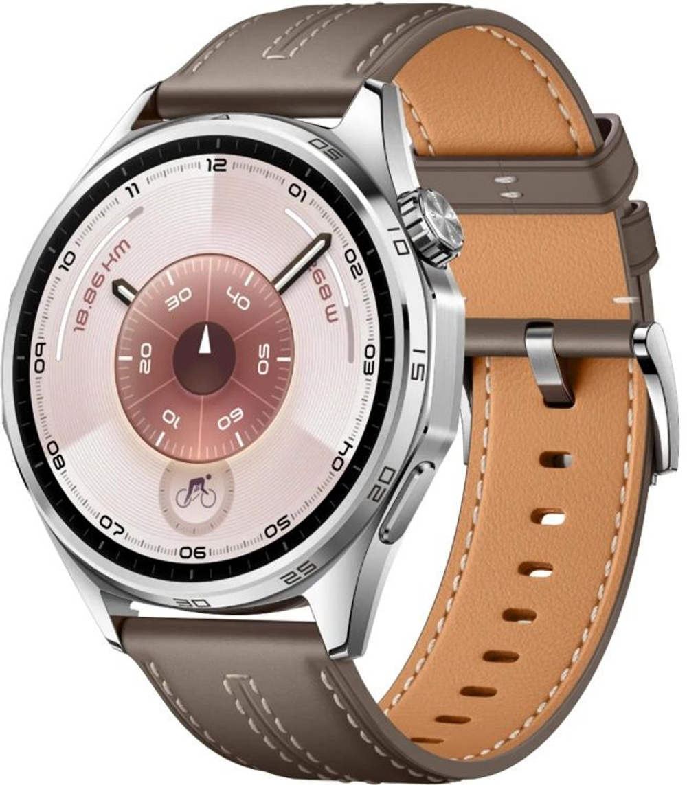 Смарт-часы Huawei Watch GT 6 Atum-B19L,  46мм,  1.47",  коричневый/серебристый