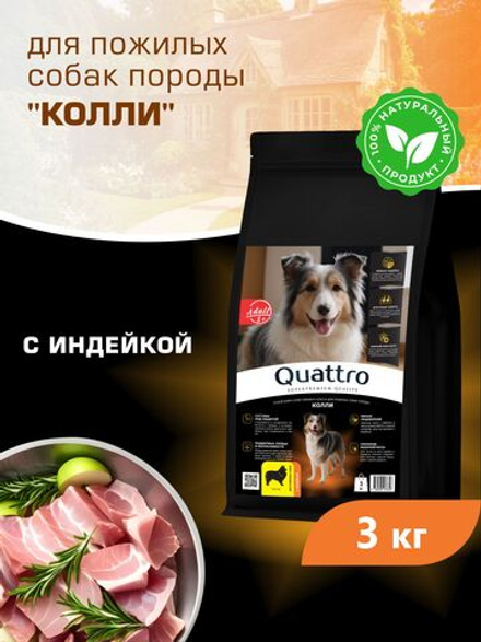 Корм сухой для пожилых собак породы Колли старше 5 лет, с индейкой, 3 кг, QUATTRO