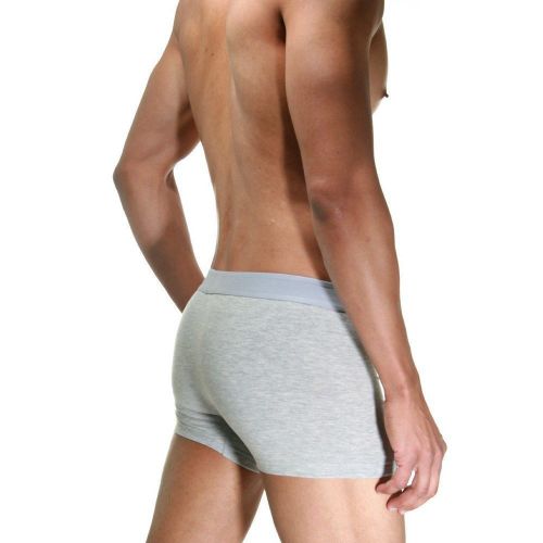 Трусы мужские боксеры серые DARKZONE DZN2103