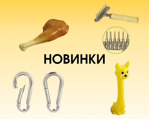Новинки в ассортименте аксессуаров для собак 🆕