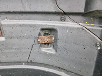 Подкрылок передний левый Ford Cargo (2011-н.в.)