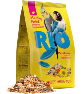 Рио Средние попугаи В период линьки 1кг.