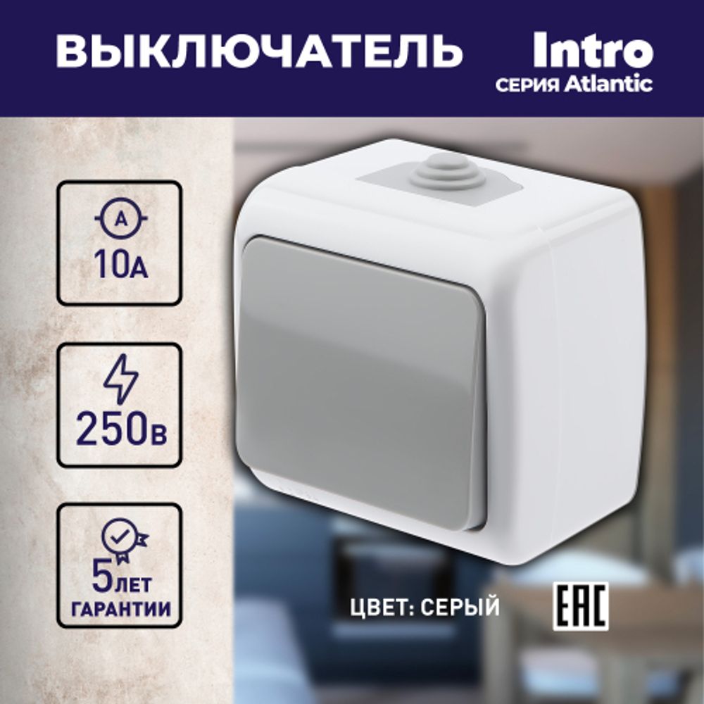 Выключатель Intro Atlantic 5-101-03 10А-250В, IP54, открытой установки, серый