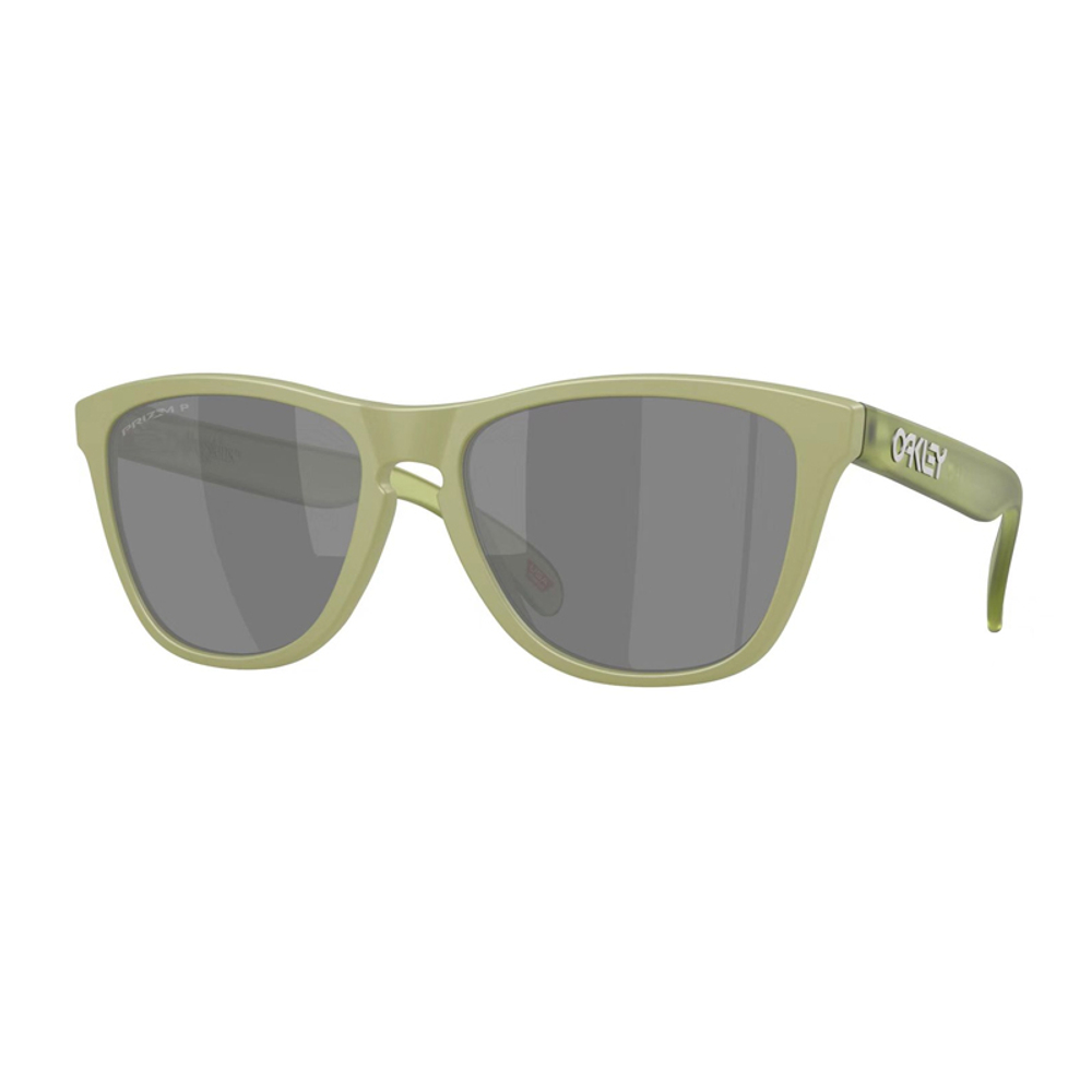 Oakley Frogskins Tinted Очки E9