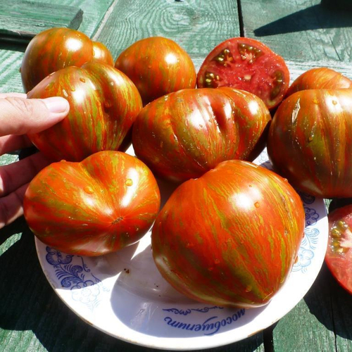 Помидоры - Berkeley Tiy Dye Heart - Сердце в стиле Тай Дай