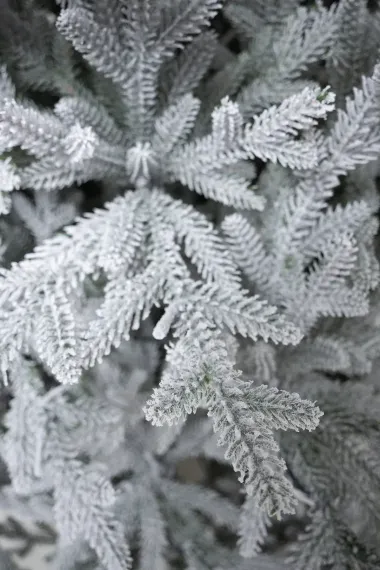 Искусственная елка Петроградская заснеженная 180 см., с теплыми белыми Led лампами, 100% литая хвоя, Елкиторг (237180)