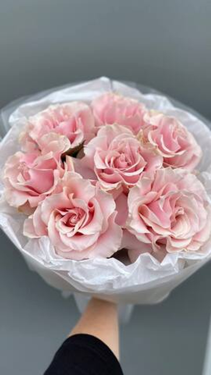 Французская роза нежность