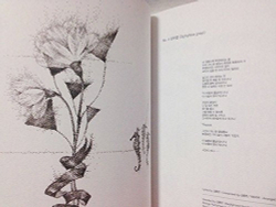 публикация Shinee Jonghyun - Diphylleia grayi - Things That Have Been Released And Set - , Novel Story Book With Photo