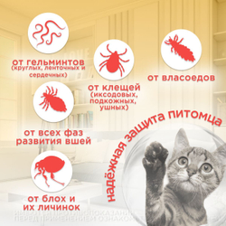 Капли inspector Quadro К от гельминтов и других паразитов для кошек 1-4кг 3 пипетки