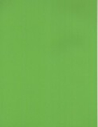 Ламинированный гипсокартон Ral 6018