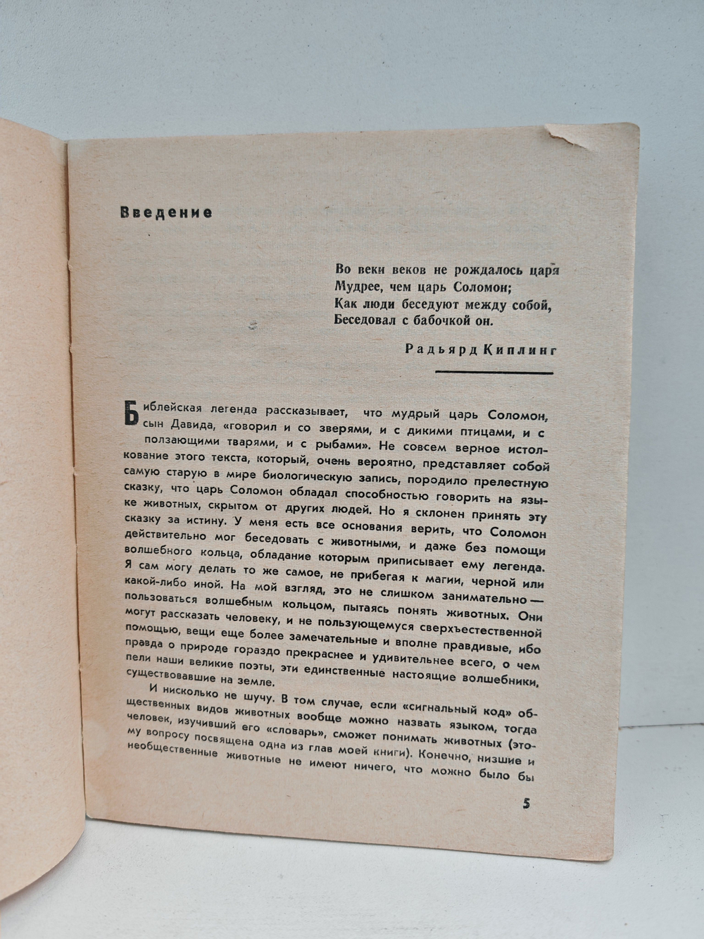 Кольцо царя Соломона