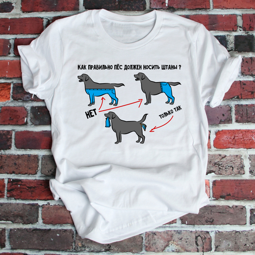Футболка "Как правильно носить штаны"
