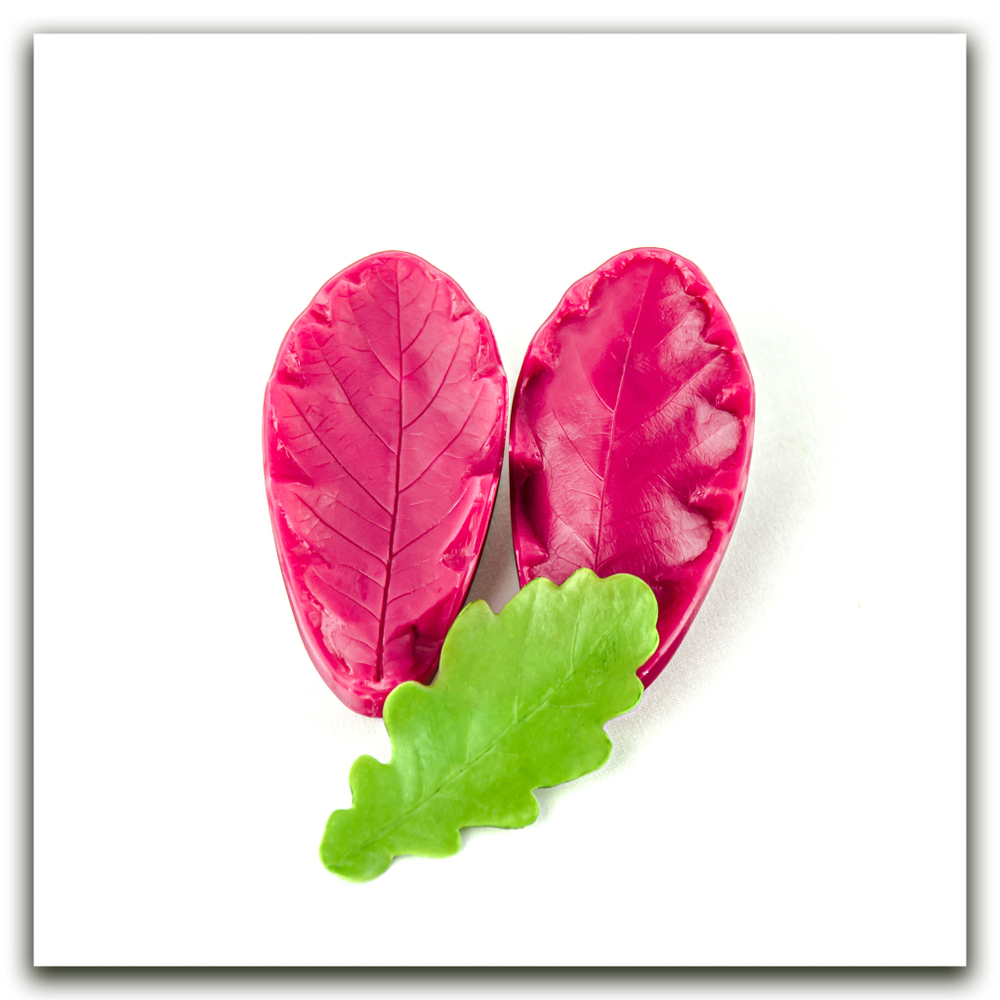 Листья дуба. Набор оптимальный