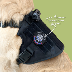 Нашивка на одежду, патч, шеврон на липучке "Наш слоняра" 8,5х8,5 см