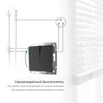 Выключатель двухклавишный с самовозвратом (черный матовый) W1122408