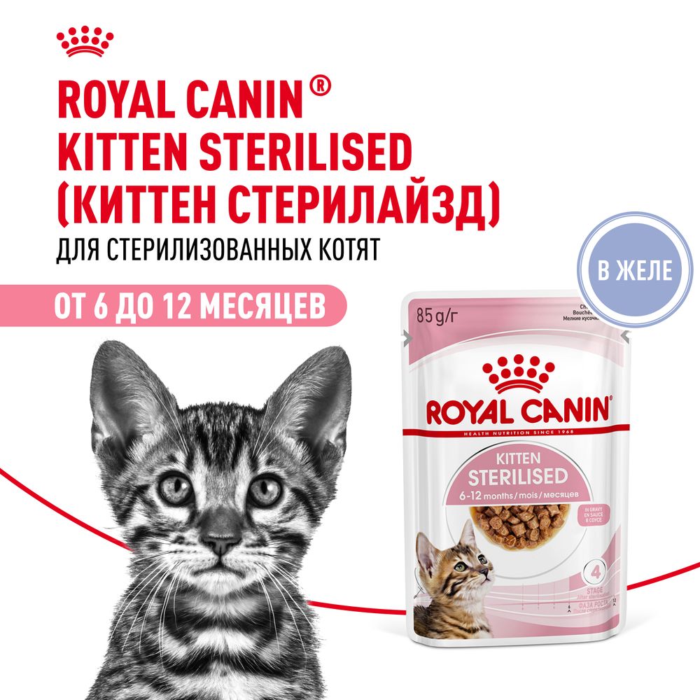Корм консервированный Royal Canin для стерилизованных котят, в желе, Kitten Sterilised - 85 гр