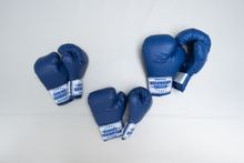 Перчатки боксерские детские (8 унций)