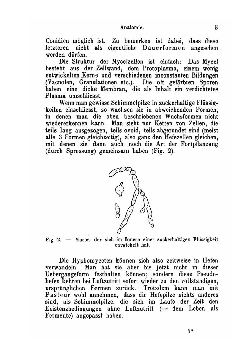 Grundzüge der allgemeinen Mikrobiologie | Maurice Nicolle