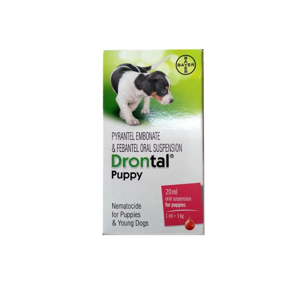 Дронтал Puppy