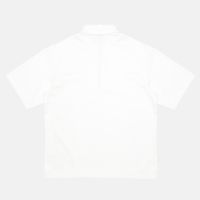  Поло мужское Dickies Cadiz Quarter Zip артикул:DK0A88PIC481 - купить в магазине Дайс