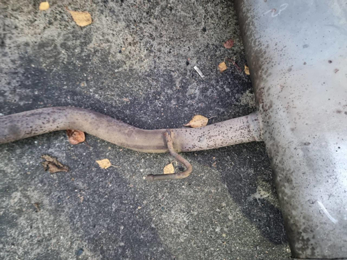 Глушитель Nissan Qashqai J11 (2013-2023)