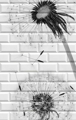 Панель ПВХ 3D Бланш Одуван рисунок 2700х250 мм