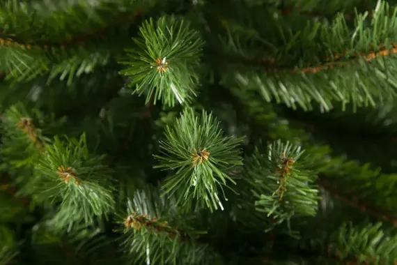 Елка Санкт-Петербург 120 см., мягкая хвоя, Triumph Tree (73286)