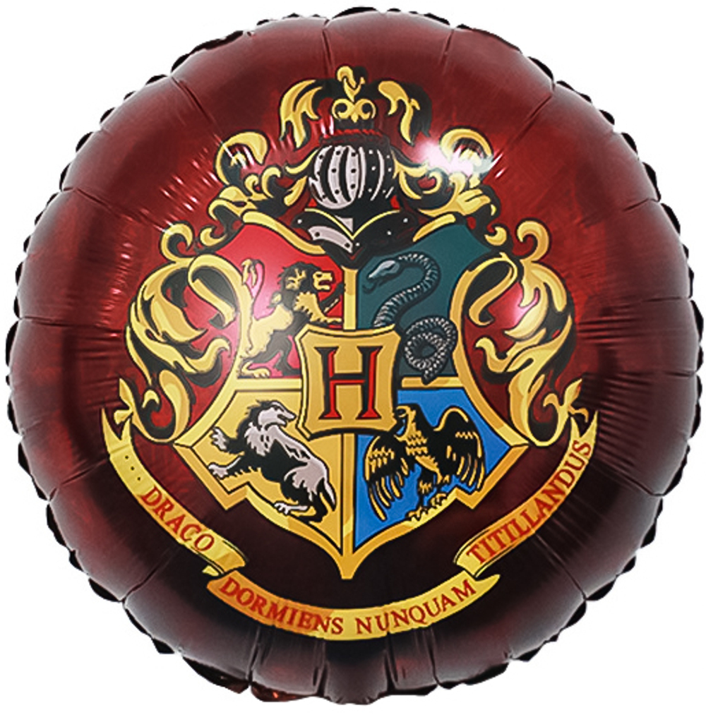 Шар круг Школа Хогвартс №2