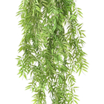 Бамбук ампельный 100 см