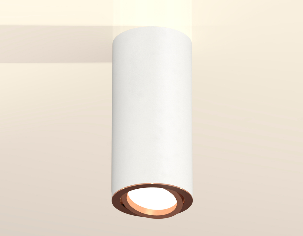 Накладной поворотный светильник Ambrella Light Techno XS7442005 (C7442, N7005)