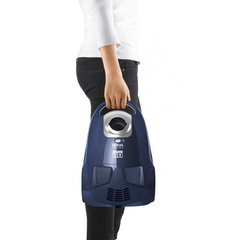 Мешковый пылесос Tefal TW2421RA