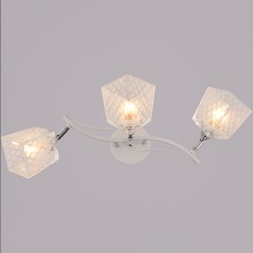 01594-0.3-03 WH+CR светильник потолочный