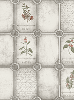 Розмарин - 11 белая