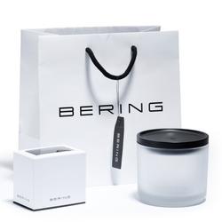 Часы Bering 14134-008