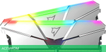 Оперативная память Netac Shadow RGB XMP Silver 32GB DDR5 (NTSRD5P56DP-32S)