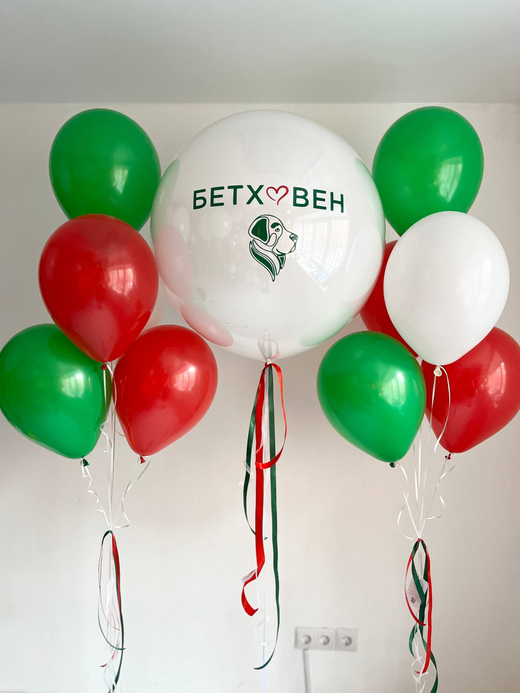 Воздушные шары на день рождение организации предприятия ветклиники Бетховен №3925