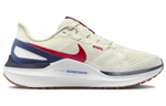 Кроссовки Nike Zoom Structure 25