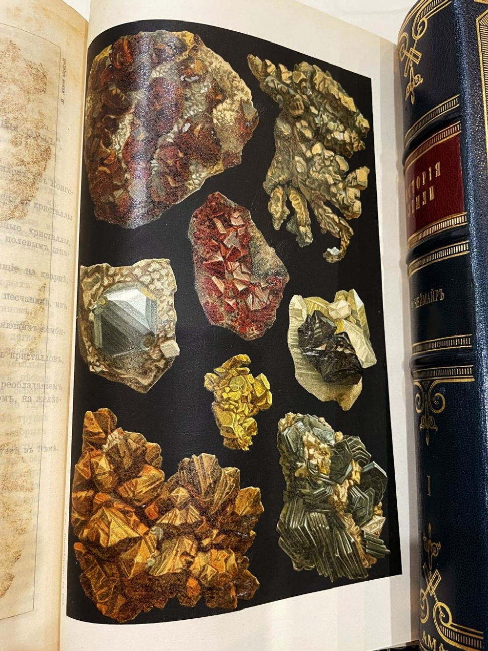 "История Земли в двух томах". М.Неймайр. 1902г.