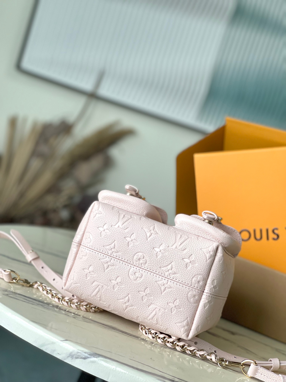 Louis Vuitton Backup