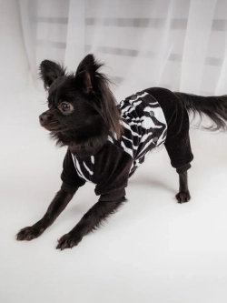 Комбинезон костюм для собак и кошек