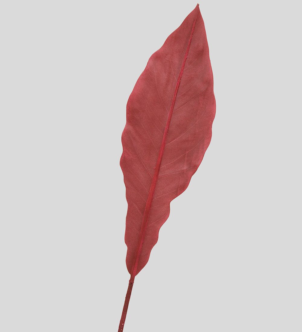 TR 605M Антуриум