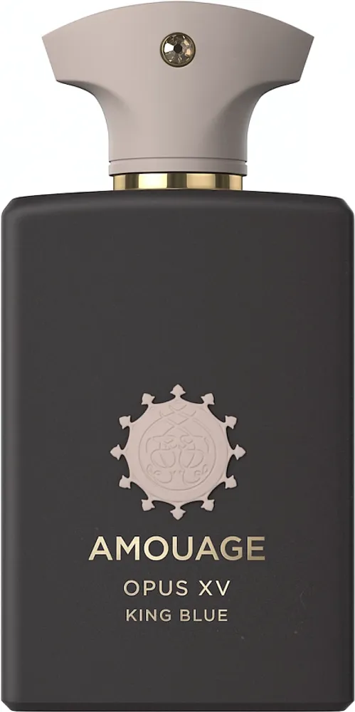 AMOUAGE LIBRARY OPUS XV KING BLUE EDP 100 ML