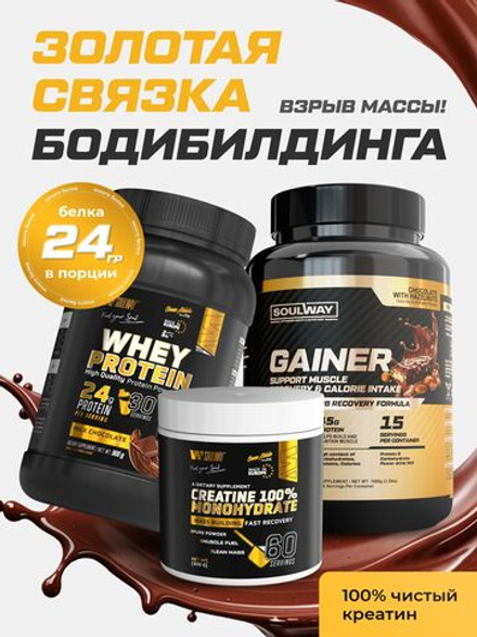 Протеин Молочный Шоколад 900г + Креатин без вкуса 60 порций + Гейнер Шоколад с лесным орехом 1500г